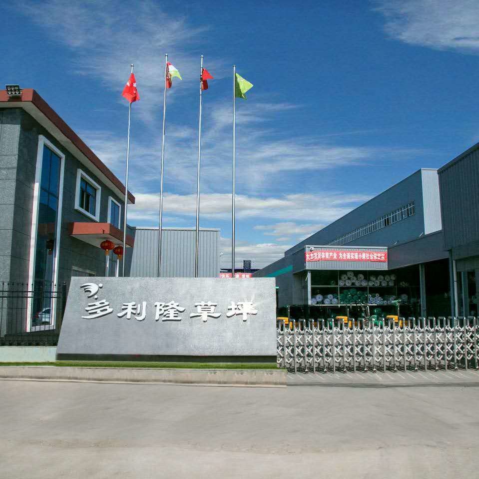 Trung Quốc Dorelom artificial grass group co,ltd. hồ sơ công ty