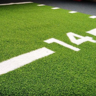Green 15mm cao đống thảm cỏ cỏ nhân tạo cho phòng tập thể dục thương mại sàn tùy chỉnh