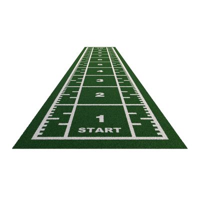 ISO9001 và ISO14001 được chứng nhận Độ dày đặc cao sân cỏ tổng hợp sàn phòng tập thể dục cho thể dục