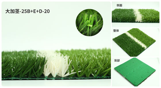 Địa trường bóng đá màu xanh lá cây PE Địa trường bóng đá cỏ nhân tạo cho sàn sân bóng đá