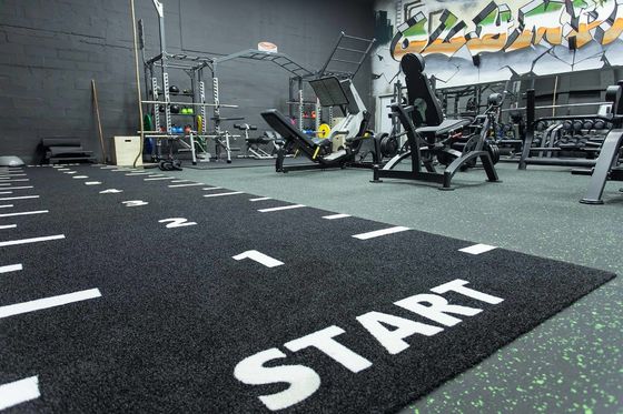 Dorelom Fitness Cỏ thảm sàn màu đen xanh cầu vồng tổng hợp cỏ giả phòng tập thể dục Cỏ nhân tạo cho thể dục