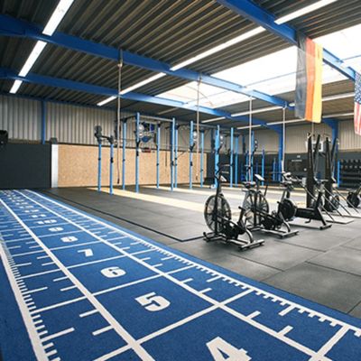 CE ISO9001 ISO14001 Chứng nhận Dorelom Training Athletic Turf Mat cho sàn thể dục