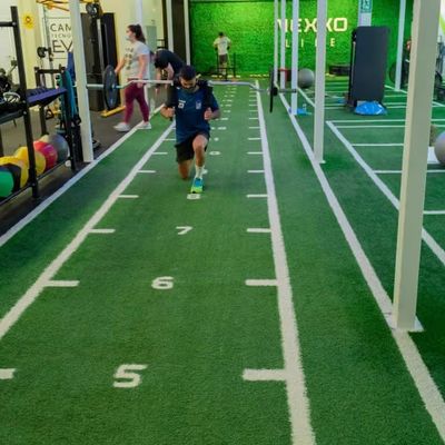 CE ISO9001 ISO14001 Chứng nhận Dorelom Training Athletic Turf Mat cho sàn thể dục