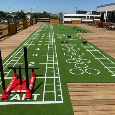 CE ISO9001 ISO14001 Chứng nhận Dorelom Training Athletic Turf Mat cho sàn thể dục