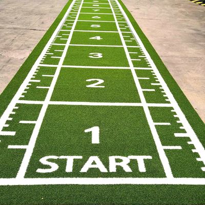 CE ISO9001 ISO14001 Chứng nhận Dorelom Training Athletic Turf Mat cho sàn thể dục