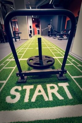CE ISO9001 ISO14001 Chứng nhận Dorelom Training Athletic Turf Mat cho sàn thể dục