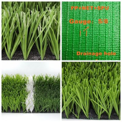 Cỏ bóng đá 50mm cho sân bóng đá trong sàn thể thao cỏ nhân tạo bán chạy nhất