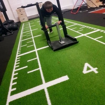Comfortable Brown Synthetic Grass Sports Flooring for Garden Workout Bliss Gym Thun đệm