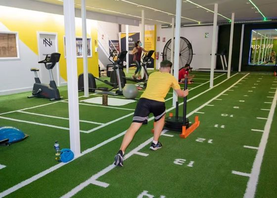 Comfortable Brown Synthetic Grass Sports Flooring for Garden Workout Bliss Gym Thun đệm