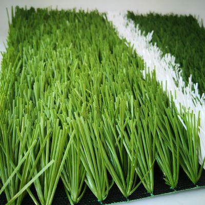 20 đan/m Tỷ lệ đan 55mm Cỏ nhân tạo cho sân bóng đá Cỏ tổng hợp