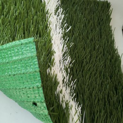 20 đan/m Tỷ lệ đan 55mm Cỏ nhân tạo cho sân bóng đá Cỏ tổng hợp