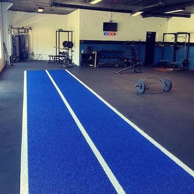 63000 khâu / m2 mật độ Dorelom Indoor Gym sàn cỏ với Double PP NET SPU hỗ trợ