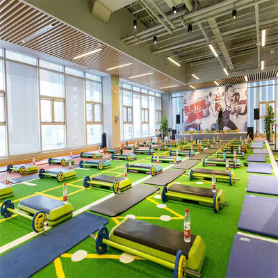 50mm Cricket pitch Cỏ nhân tạo cho Futsal Gym Thể dục Đấu trường bóng đá