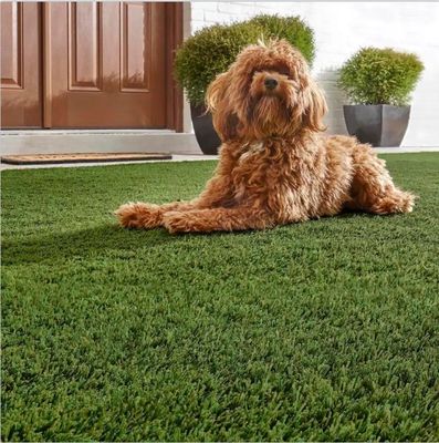Cỏ nhân tạo trông tự nhiên cho sân vườn và vật nuôi 2m / 4m * 25m 3/8 inch Guage