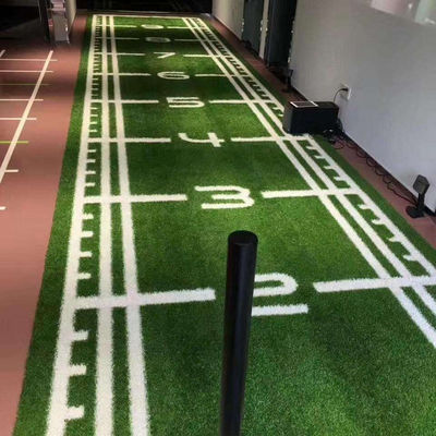 Thể thao Các sân cỏ nhân tạo khác Khung cảnh cho golf Sân bóng đá Sân thể dục Cỏ tổng hợp