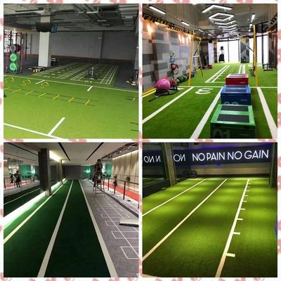 Sports Flooring Fitness Scale Training Cỏ nhân tạo cho phòng tập thể dục