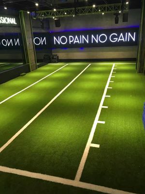 Sports Flooring Fitness Scale Training Cỏ nhân tạo cho phòng tập thể dục
