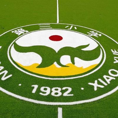 PE PP Hỗ trợ Cỏ nhân tạo Logo Mô hình màu sắc Cỏ tổng hợp thảm bóng đá mini
