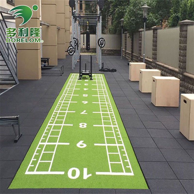 Đánh dấu số Dorelom PE Gym Chăn cỏ nhân tạo cho tập thể dục và đường đua trượt tuyết
