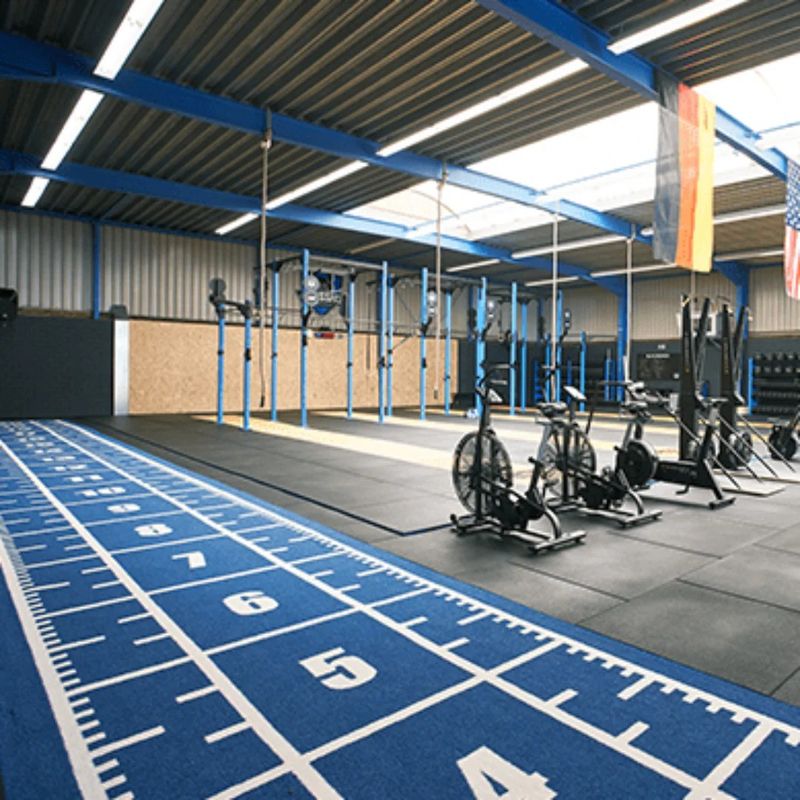 CE ISO9001 ISO14001 Chứng nhận Dorelom Training Athletic Turf Mat cho sàn thể dục
